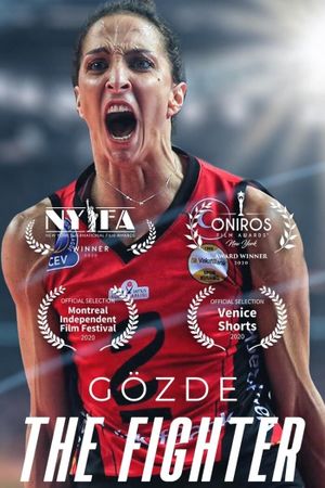 Gözde the Fighter's poster