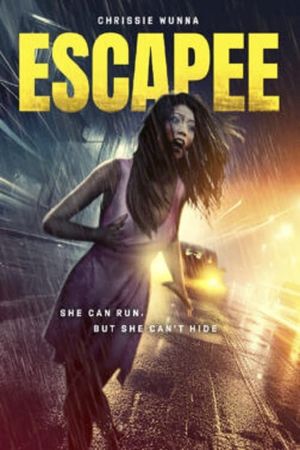 The Escapee's poster