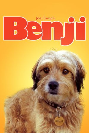 Benji's poster image