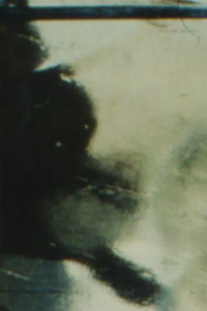 The Winter Footage's poster