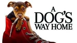 A Dog's Way Home's poster