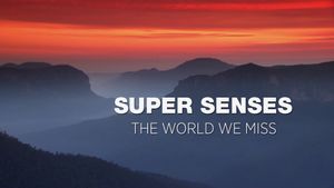 Super Senses's poster