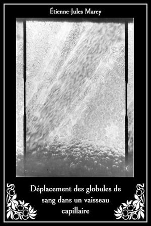 Blood Transmission's poster