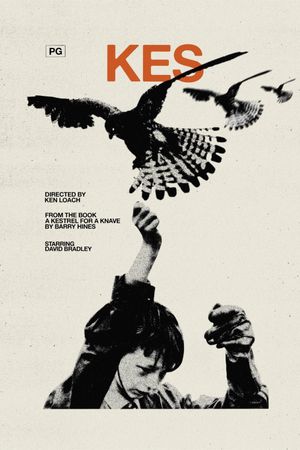 Kes's poster