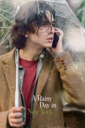 A Rainy Day in New York's poster