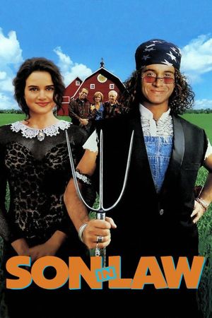 Son in Law's poster