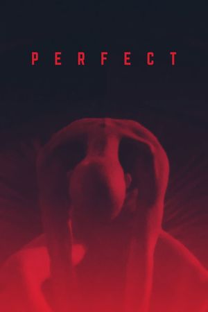 Perfect's poster