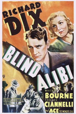 Blind Alibi's poster
