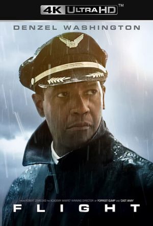Flight's poster
