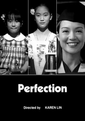Perfection's poster