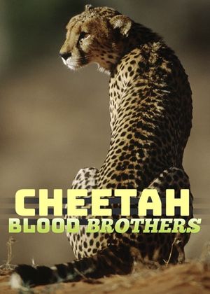 Cheetah Blood Brothers's poster