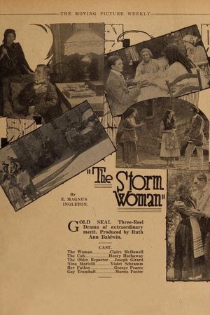 The Storm Woman's poster