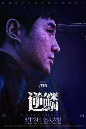 Untouchable's poster image