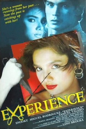 Experience's poster