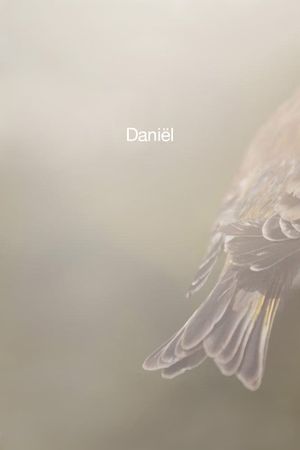 Daniël's poster