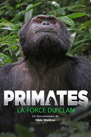 Primates: The Strength of the Clan's poster
