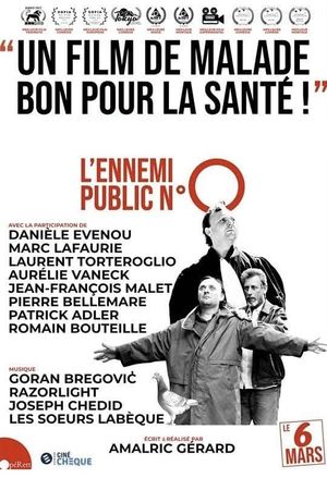 L'ennemi public n°0's poster