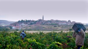 Rioja, Land of the Thousand Wines's poster