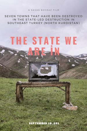 The State We Are İn's poster image