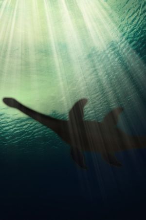 Monsters of The Abyss's poster