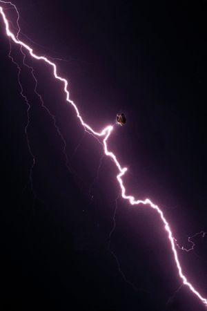The Year of the Everlasting Storm's poster