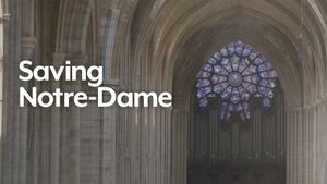 Saving Notre Dame's poster