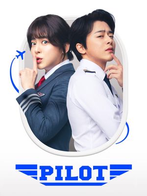 Pilot's poster