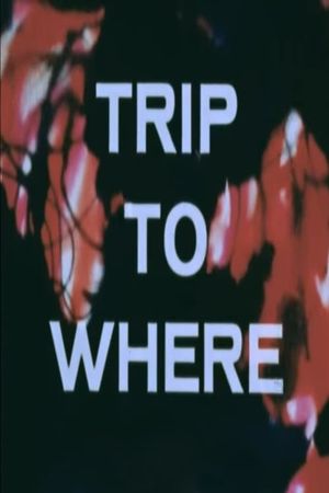 Trip to Where?'s poster