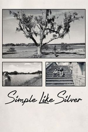 Simple Like Silver's poster