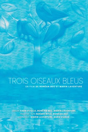 Trois oiseaux bleus's poster