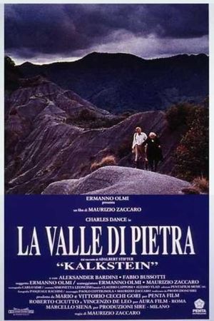 La valle di pietra's poster