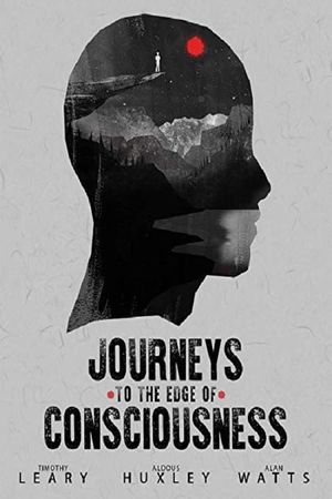 Journeys to the Edge of Consciousness's poster