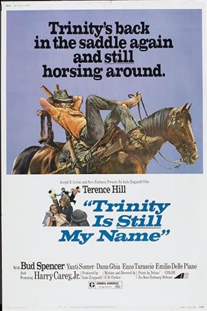 They Call Me Trinity's poster