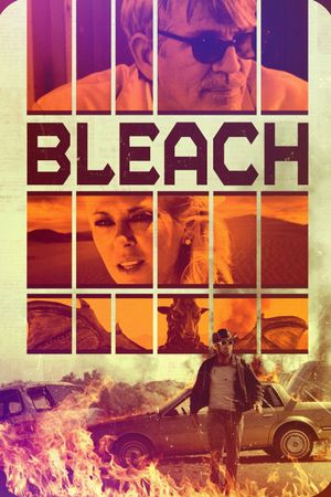 Bleach's poster