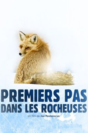 Premiers pas dans les Rocheuses's poster