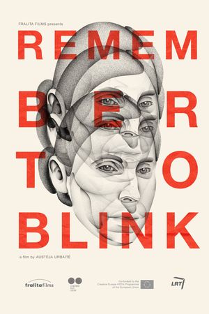 Remember to Blink's poster