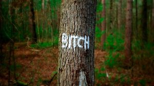 Backlash: Misogyny in the Digital Age's poster