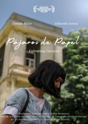 Pájaros de Papel's poster