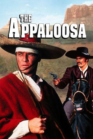 The Appaloosa's poster
