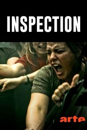 Inspection's poster