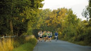 Speed Walking's poster