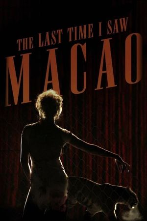 The Last Time I Saw Macao's poster
