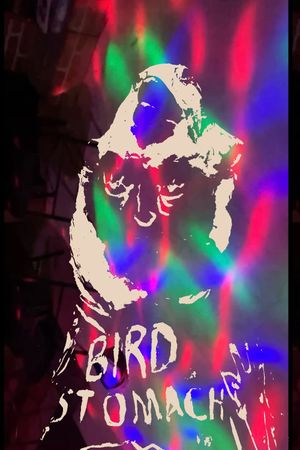 Bird Stomach's poster