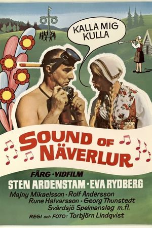 Sound of Näverlur's poster
