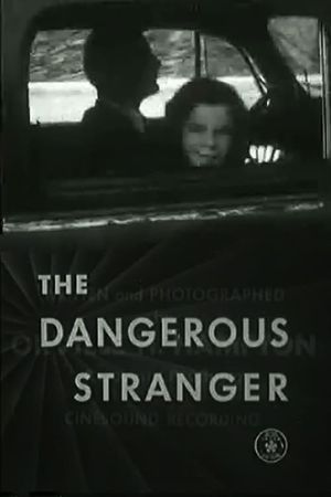 The Dangerous Stranger's poster