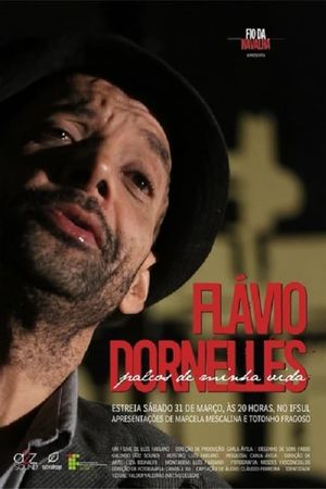 Flávio Dornelles – Palcos de Minha Vida's poster