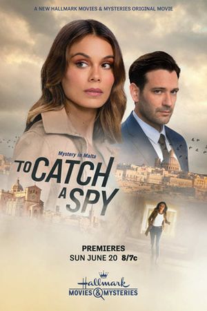 To Catch a Spy's poster