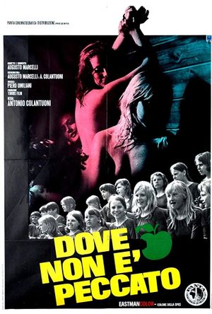 Dove non è peccato's poster