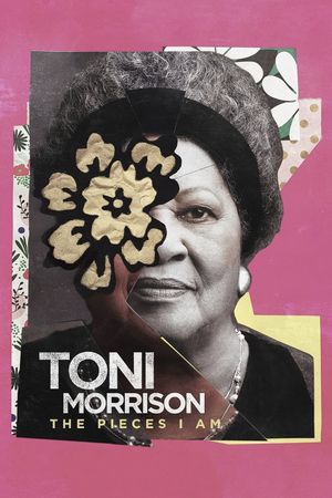 Toni Morrison: The Pieces I Am's poster