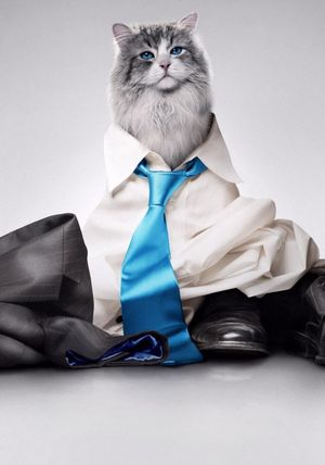Nine Lives's poster